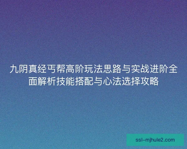 九阴真经丐帮高阶玩法思路与实战进阶全面解析技能搭配与心法选择攻略